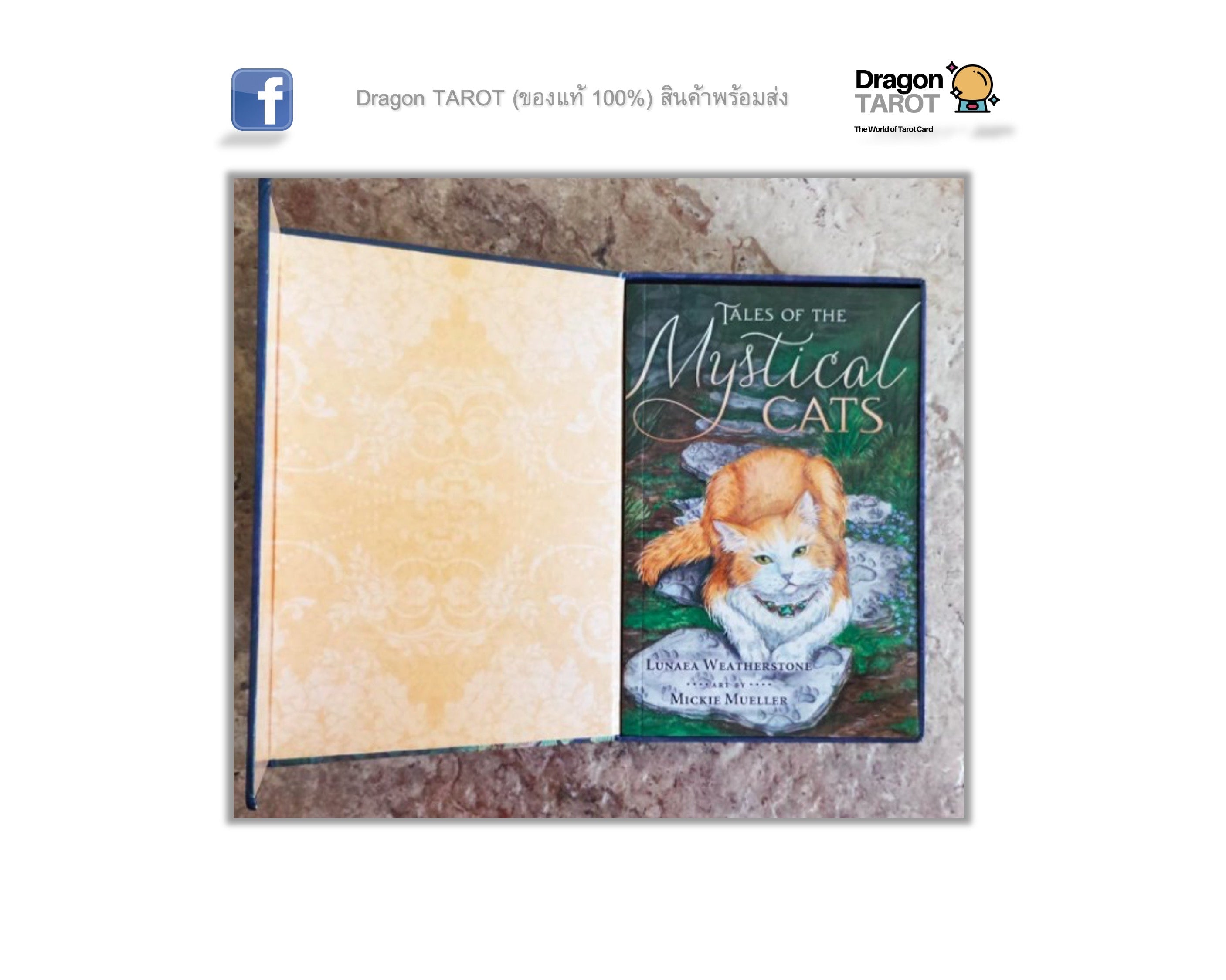 Mystical Cats Tarot Kit | ไพ่ทาโรต์ พร้อมหนังสือคู่มือ