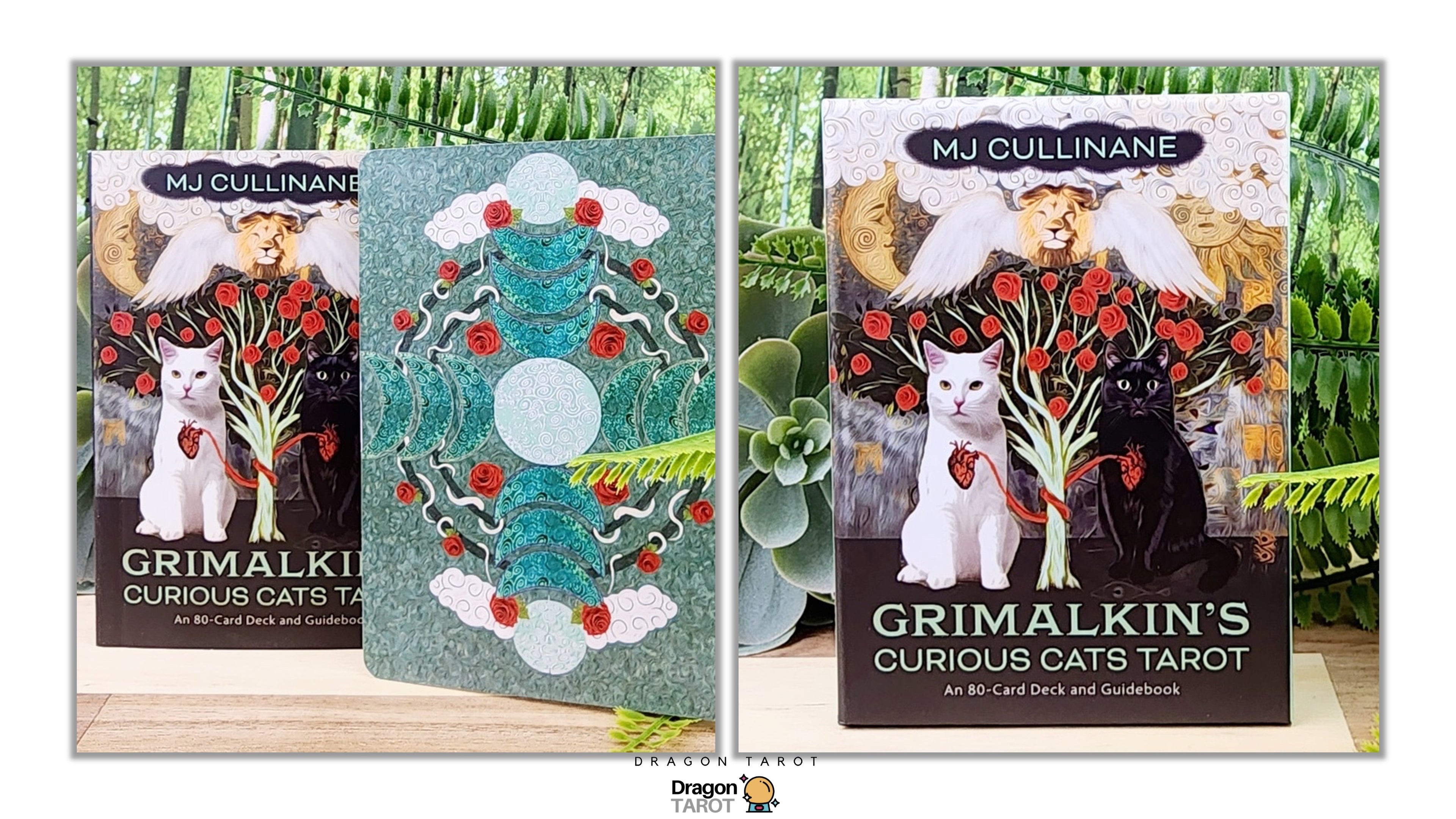 Grimalkin’s Curious Cats Tarot | ไพ่ทาโรต์