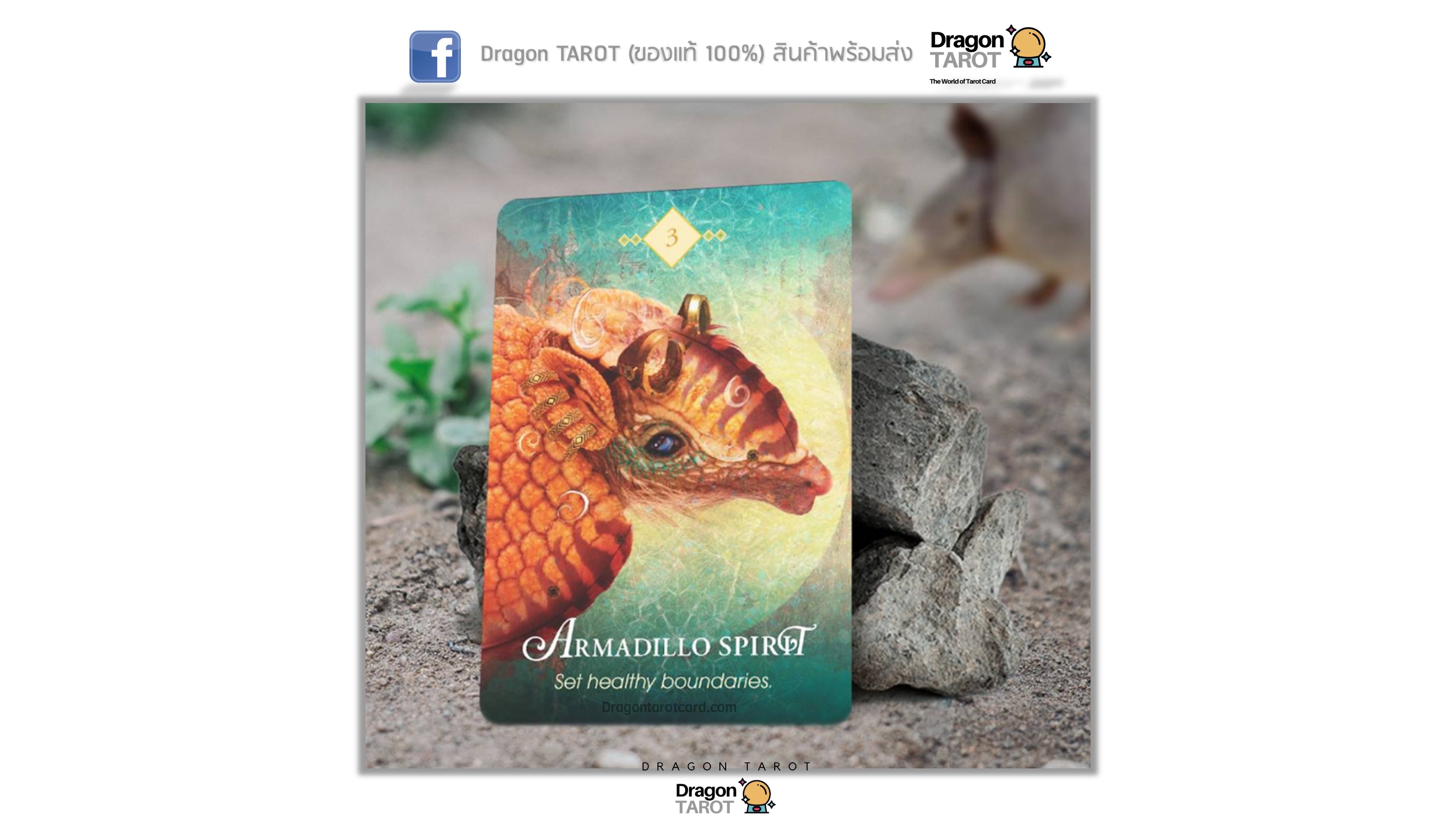 Spirit Animal Oracle, The | ไพ่ออราเคิล