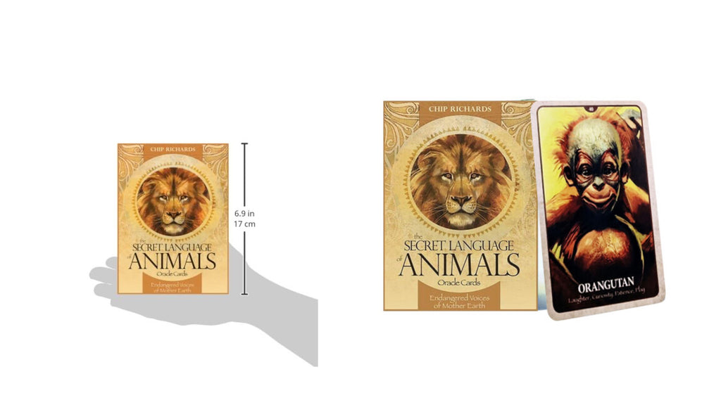 Secret Language of Animals Oracle Cards, The | ไพ่ออราเคิล