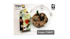 Dragon Tarot deck packaging and a glass terrarium display on a white background, with Dragon Tarot branding and a US Game Developers Choice 2023 logo visible.