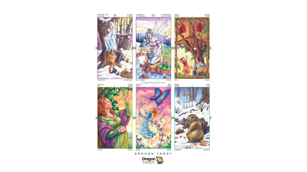 Wheel of the Year Tarot | ไพ่ทาโรต์