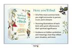 A promotional graphic for The Spiritual Meaning of Birds Oracle Deck by Dragon Tarot, showing the boxed deck on the left and descriptive text on the right with bird illustrations.