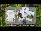 Spiritual Meaning of Birds Oracle Deck, The | ไพ่ออราเคิล