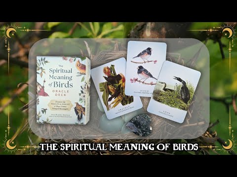Spiritual Meaning of Birds Oracle Deck, The | ไพ่ออราเคิล
