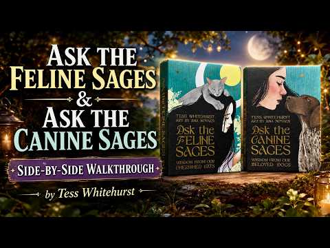 Ask the Feline Sages | ไพ่ออราเคิล