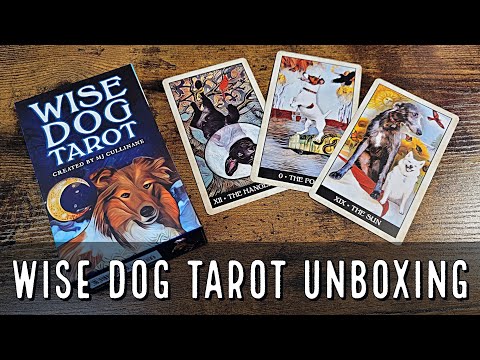 Wise Dog Tarot | ไพ่ทาโรต์