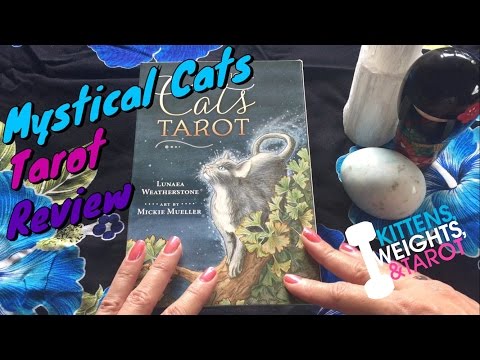 Mystical Cats Tarot Kit | ไพ่ทาโรต์ พร้อมหนังสือคู่มือ