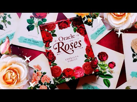 Oracle of The Roses | ไพ่ออราเคิล ขอบไพ่สีแดง