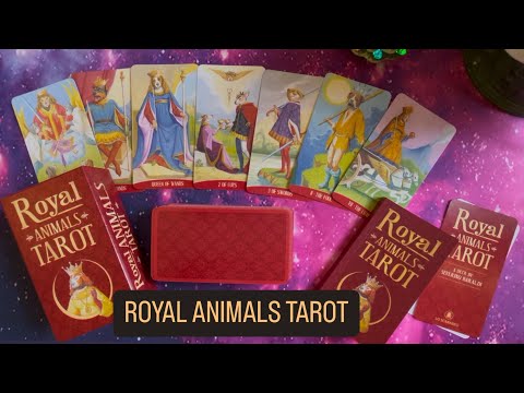 Royal Animals Tarot | ไพ่ทาโรต์