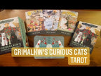 Grimalkin’s Curious Cats Tarot | ไพ่ทาโรต์