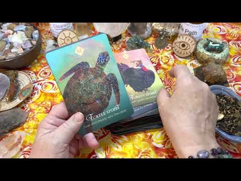 Spirit Animal Oracle, The | ไพ่ออราเคิล