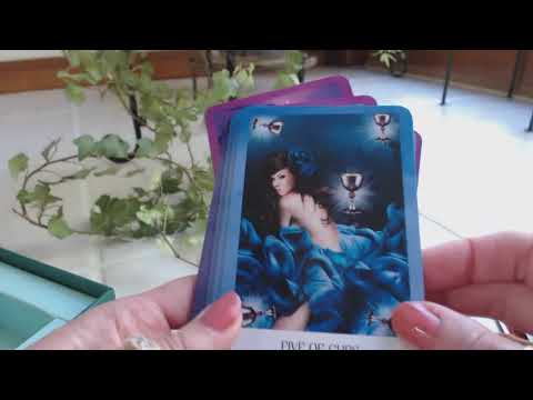 Chakra Wisdom Tarot, The | ไพ่ทาโรต์