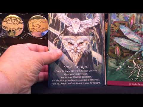 Spirit of the Animals Oracle | ไพ่ออราเคิล