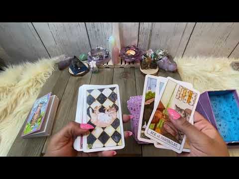 Cat Tarot | ไพ่ทาโรต์