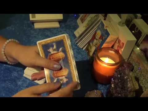 Tarot of White Cats | ไพ่ทาโรต์