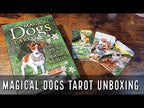 Magical Dogs Tarot | ไพ่ทาโรต์