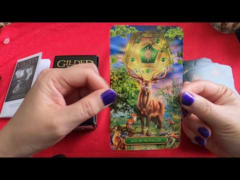 Gilded Tarot Royale Deck | ไพ่ทาโรต์ ไร้ขอบ